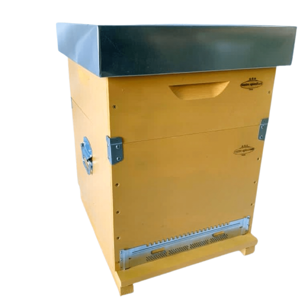 Arnia Cubo "Centro Apicoltura" completa